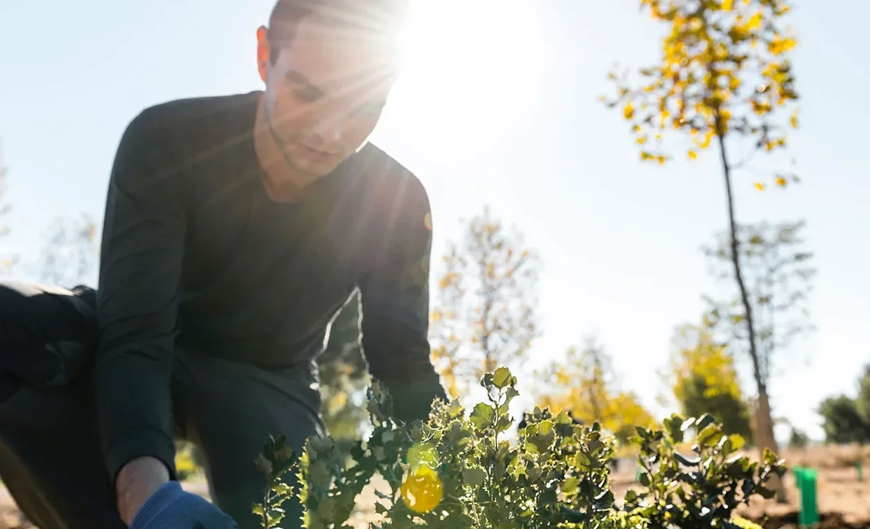 Primary Image - Community 1