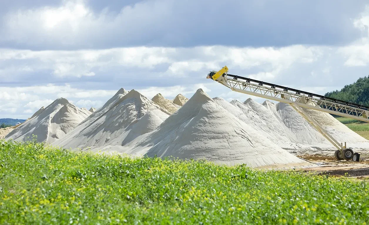 Primary Image - Energy 5